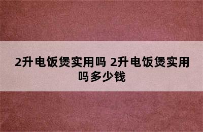 2升电饭煲实用吗 2升电饭煲实用吗多少钱